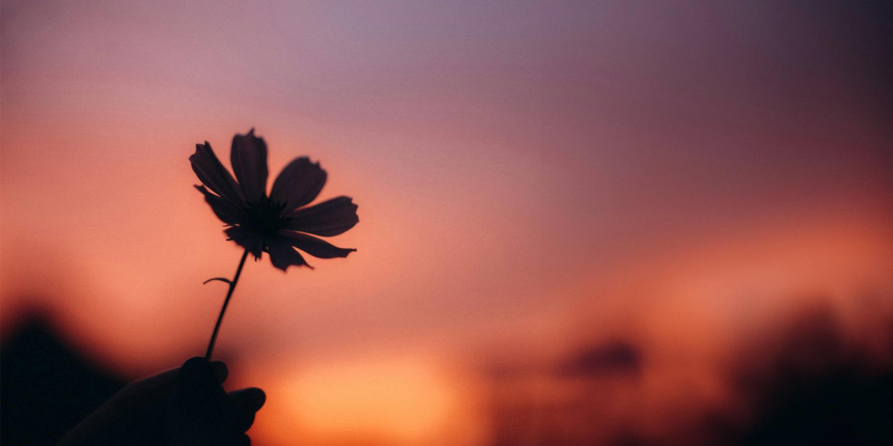 Indian summer: die heerlijke bonuszomer in het najaar