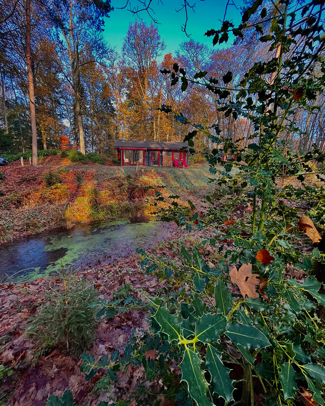 Natuurhuisje in Hulshorst