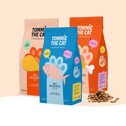 Tommie the Cat | Happlify feel good webshop gids en blog